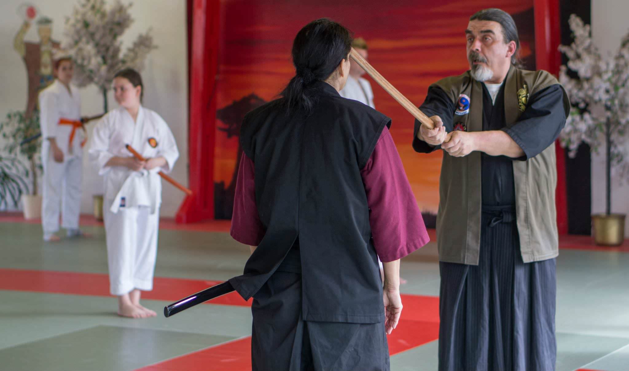 Days Of the Sword Seminar Gohshinkan Ryu Dojo traditionelle Kampfkunst, Schwertkunst und Selbstverteidigung Impressionen aus dem Training