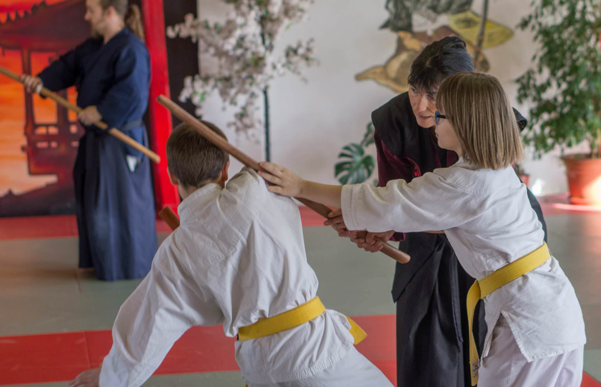 Days Of the Sword Seminar Gohshinkan Ryu Dojo traditionelle Kampfkunst, Schwertkunst und Selbstverteidigung Impressionen aus dem Training